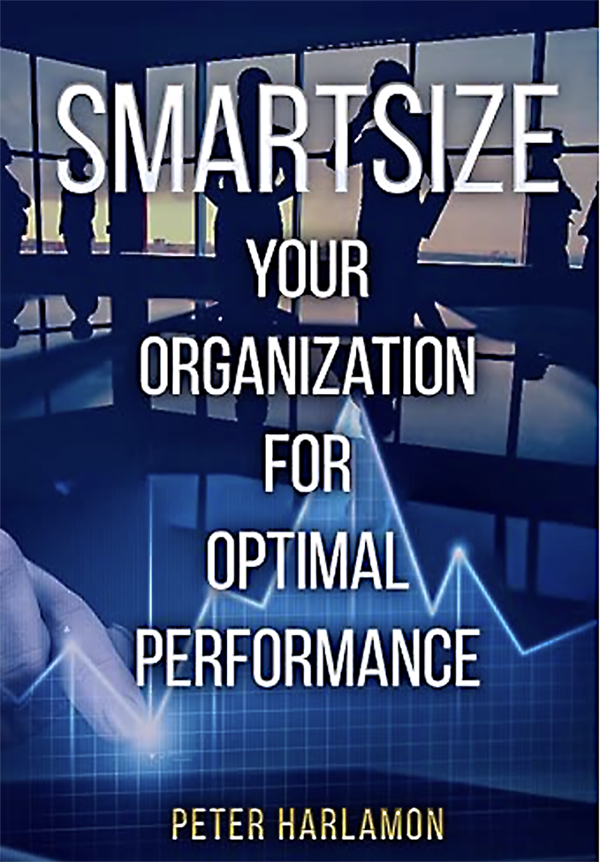 SMARTSIZE Your Organization for Optimal Performance
